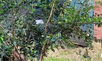 Imagem 2: Aluga essa casa Quarto com aluguel por R$400 /mês