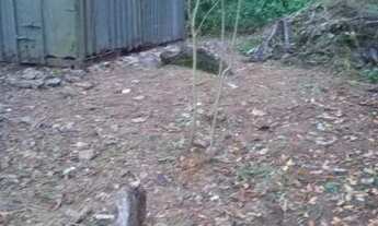 Imagem: Terreno em Angra