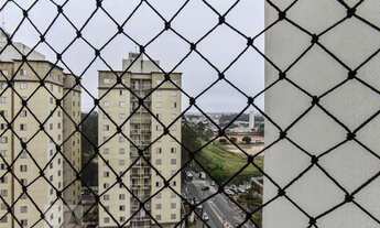 Imagem 5: Apartamento para Aluguel - Planalto, 3 Quartos, 68 m2