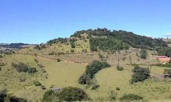Imagem: Magnifico terreno 2 hectares (20 mil mt2)