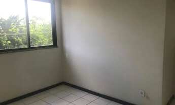 Imagem 4: Delta do Parnaíba