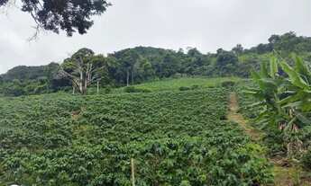 Imagem: Terreno 1 alqueires 13 litros