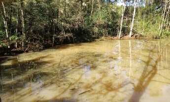 Imagem 2: CHACARA COM REFLORESTAMENTO