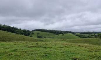 Imagem: Fazenda à venda com 68 alqueires em Silva