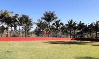 Imagem: Sítio com 3 dormitórios à venda, 72600