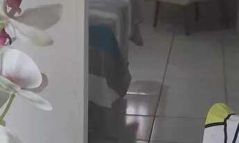 Imagem 3: DUPLEX PARANGABA