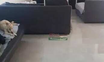 Imagem 6: Casa com 4 dormitórios à venda, 340 m² por R$ 1.229.000 - Jardim Gagliardi - São Bernardo