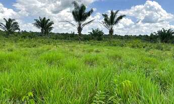 Imagem 7: Fazendinha com 45 hectares