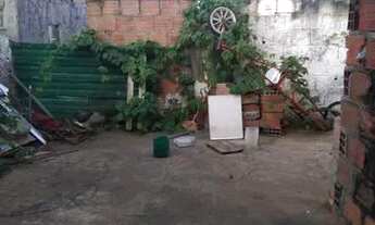 Imagem 4: Casa no conjunto viveiros