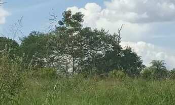 Imagem 5: Vende-se terra Chácara com venda por R$85.000