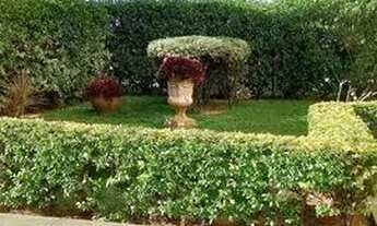 Imagem 2: Edificio Vilagio de Roma