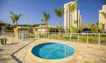 Imagem 4: APARTAMENTO NOVO ALUGUEL