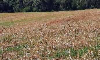 Imagem 4: Sítio ótima oportunidade