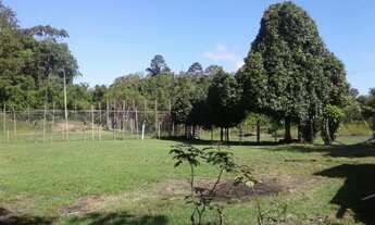 Imagem 2: Terreno na pista da AM-010, Km 51 com 1.000.000m2 - 860 mts de frente. Menor Preço. Docume