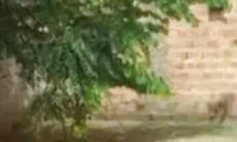 Imagem 6: Casa pra venda em Planaltina