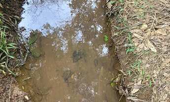 Imagem 5: Chácara em Bonfinópolis só R$ 220 mil