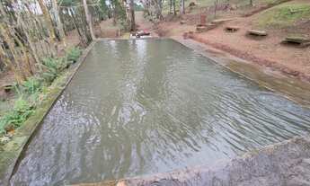 Imagem 2: Sítio com 2 casa piscina Morungava Gravataí parada 92