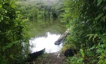 Imagem 2: Janauaca Manaquiri