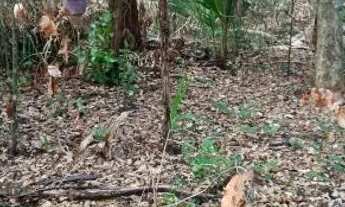 Imagem 3: Chácara na beira do Rio Lageado