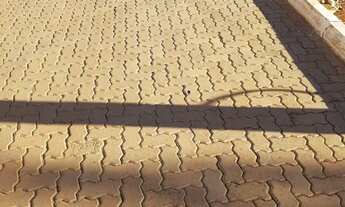 Imagem: LOTE EM CONDOMÍNIO ANTIGO E CONSOLIDADO