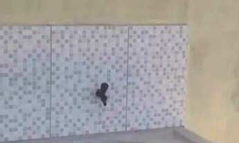 Imagem 7: Casa no Turu Casa com 3 dormitórios