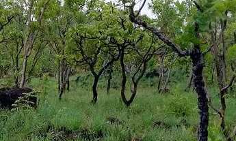 Imagem 2: Vendo área na serra a 3 Km de Palmas