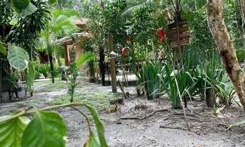 Imagem 2: Estrada da Balsa - Arraial D'ajuda