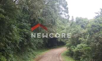 Imagem 3: Sítio em Rua Samambaia - Samambaia - São Francisco de Paula/RS