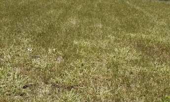 Imagem 2: Terreno em Vale dos Cristais - Macaé