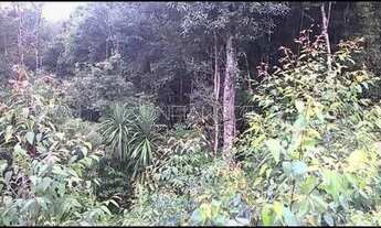 Imagem 7: Area a venda em Campo Magro - PR