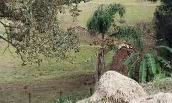 Imagem 3: Terreno para Venda em Picada Café, Centro