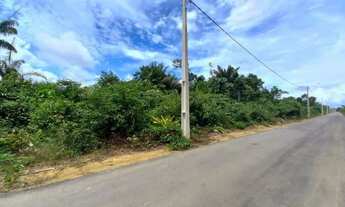 Imagem 6: Oportunidade: Chacara Rio Negro - 1250m²