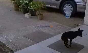 Imagem 3: Casa para Venda - 140m², 5 dormitórios, 3 vagas - Lami