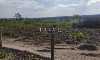 Imagem 5: Fazenda 3000 hectares à venda , área plana, casa sede, barracão, poço artesiano, internet