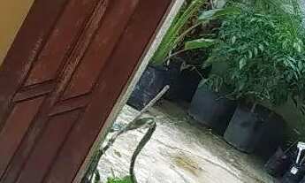 Imagem 3: Casa em itinga prox.estrada do coco