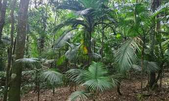 Imagem 3: Excelente terreno em Juquitiba