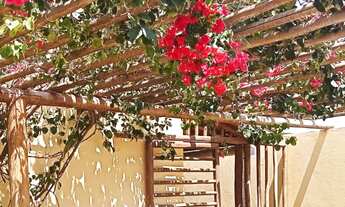 Imagem 3: 4 Flats Novos em São Miguel do Gostoso : Chalés , Hostel , Pousada Loft kitnet