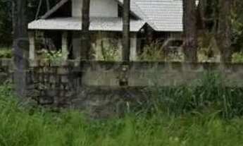 Imagem 2: Sitio à venda com 33 mil m2 frente rodovia SC 403