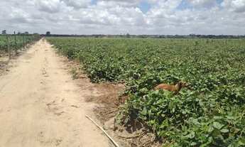 Imagem 7: Terreno de 27 tarefas (81.796 m²) no povoado Cangandú - Arapiraca/AL