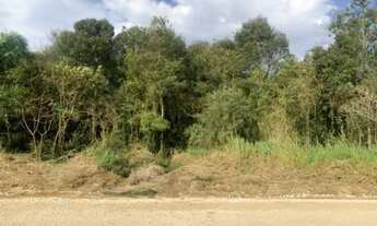 Imagem 6: Área no Roça Grande - Colombo PR