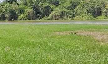 Imagem 4: Fazenda a venda margem ao Rio São Francisco 22 alqueires