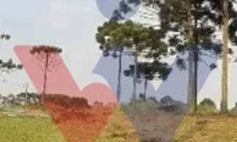 Imagem 5: Lote 9, Quadra 2 no Betaville Vista Permanente para a Serra do Mar