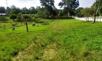 Imagem 7: Sítio em Estrada Dionizio Cardoso de Lima - Parque Ipiranga - Gravataí/RS