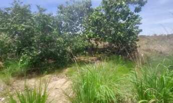 Imagem 2: Sítio em formoso de minas