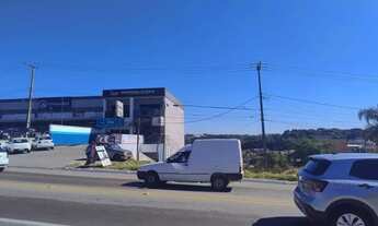 Imagem 7: Terreno - Colombo