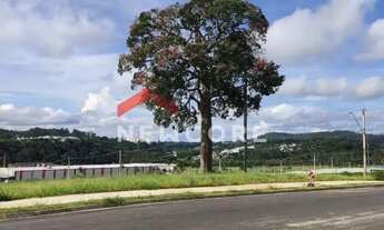 Imagem 2: Lote em condomínio em Avenida Dom Paulo Rolim Loureiro - Vila Oliveira - Mogi das Cruzes/S