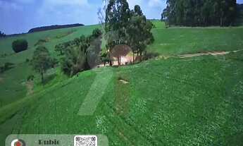 Imagem 4: Área Rural 12 Alqueires - Pilar do Sul/SP