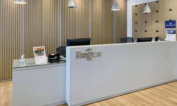 Imagem 3: Escritório para alugar para 5 pessoas em Regus Sto. Amaro, Panamerica Park