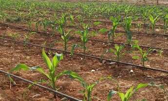 Imagem 2: Fazendinha 14 Alqueires..Saída Pirapora.