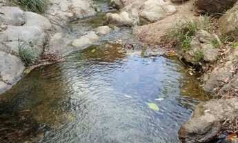 Imagem 2: Linda Chácara Gama DF